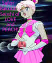 The Senshi of Love and Peach!!  by Priire (Asteroid)  (107631 bytes)